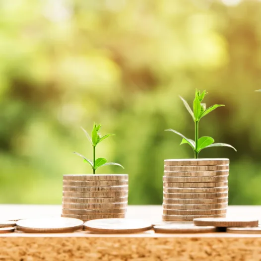 Economics of Biodiversity